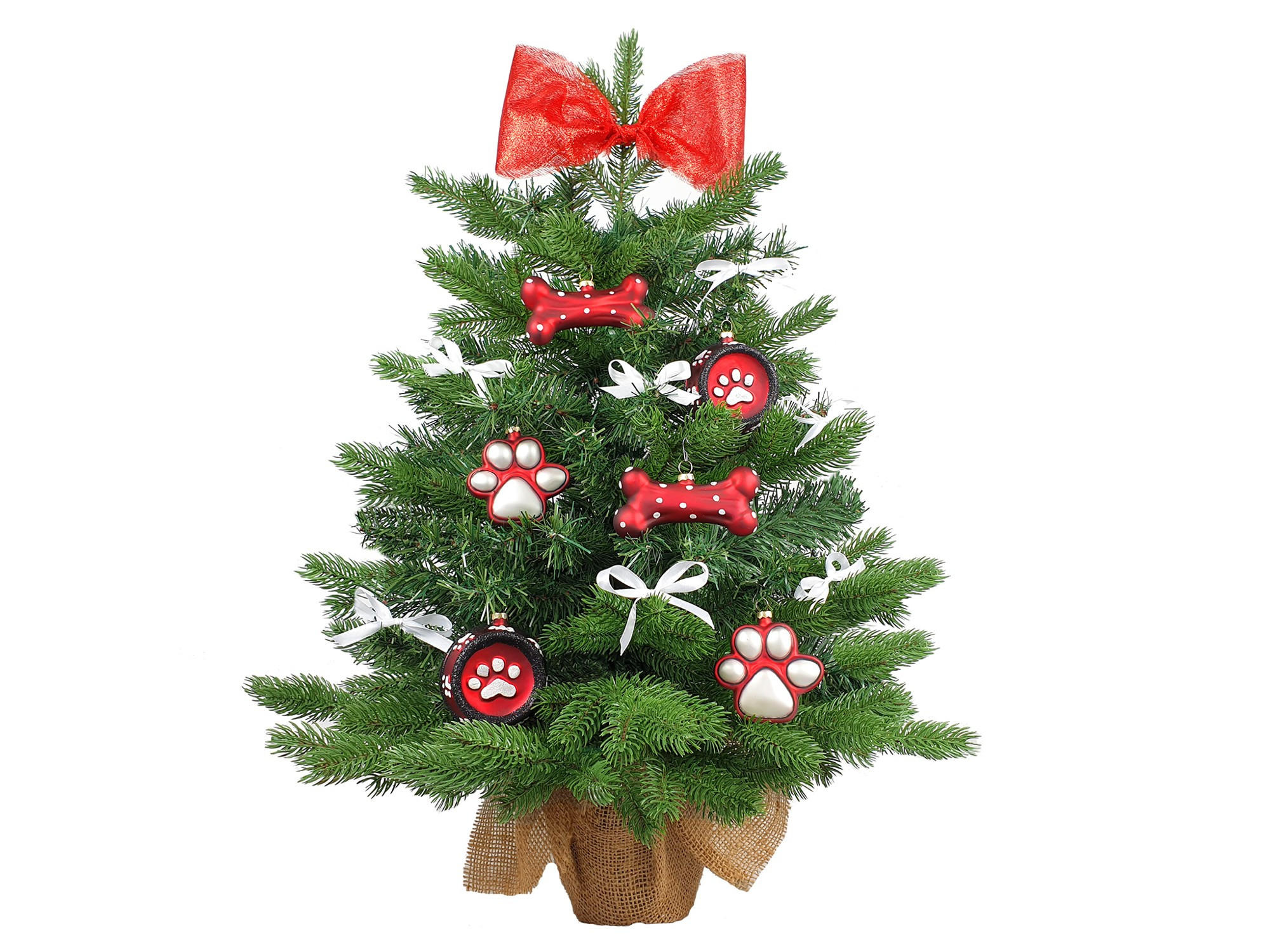 LAALU WEIHNACHTSBAUM geschmückt künstlich Ornamenten HUND TREE 60 cm mit LED-Beleuchtung in pot - Rot/Weiß, Kunststoff (40/60cm) - LAALU