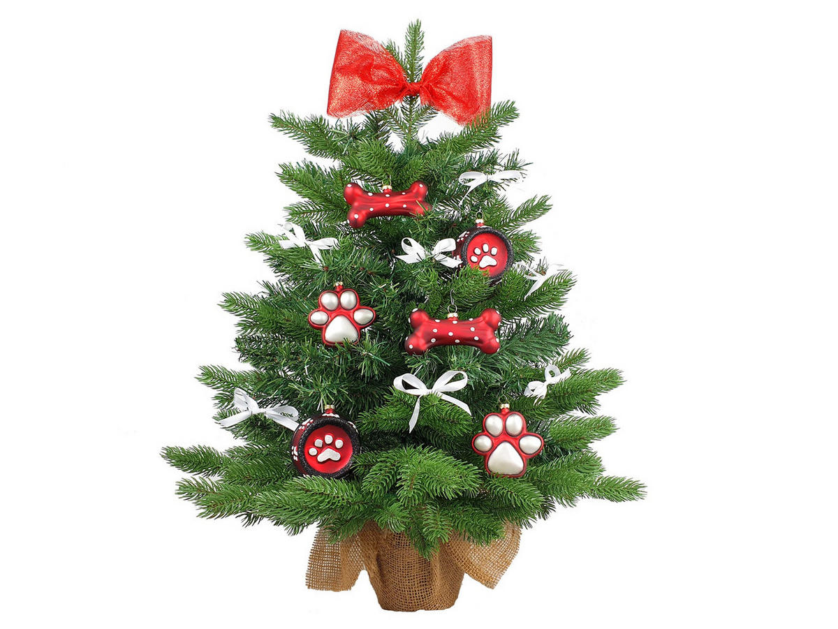WEIHNACHTSBAUM geschmückt künstlich Ornamenten HUND TREE 60 cm mit LED-Beleuchtung in pot - Rot/Weiß, Kunststoff (40/60cm) - LAALU