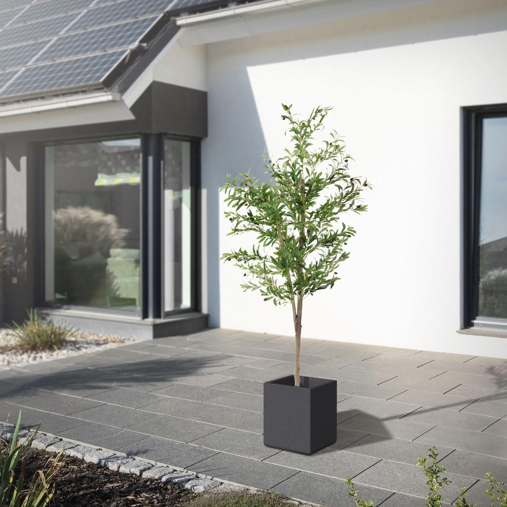 KUNSTPFLANZE Olive - Anthrazit/Grün, Holz/Kunststoff (180cm) - ML-DESIGN