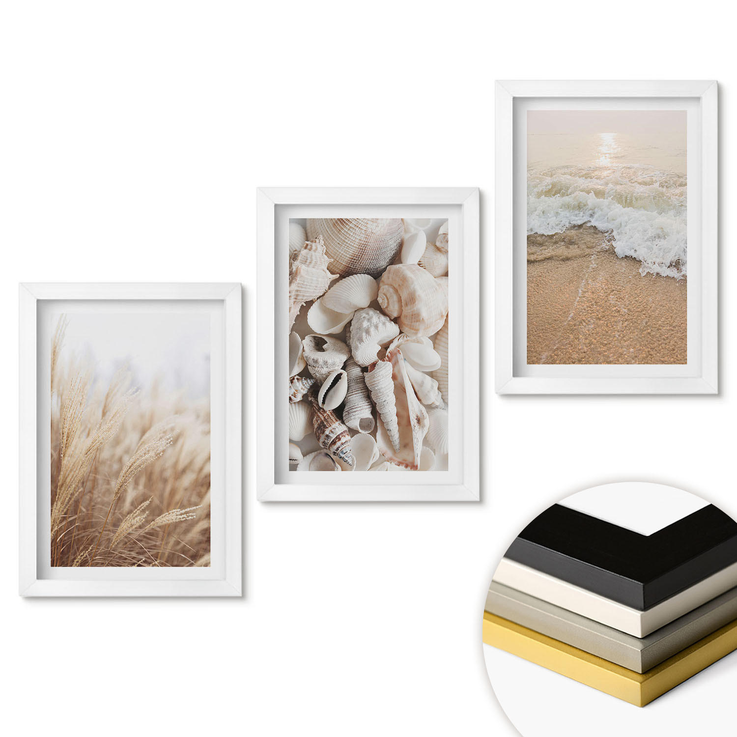 WANDBILDER 3er-Set - 20x30 cm Weißer Rahmen - Strandmotive, Muscheln, Wellen - Weiß, Kunststoff (20/30cm) - ArtPrintCave