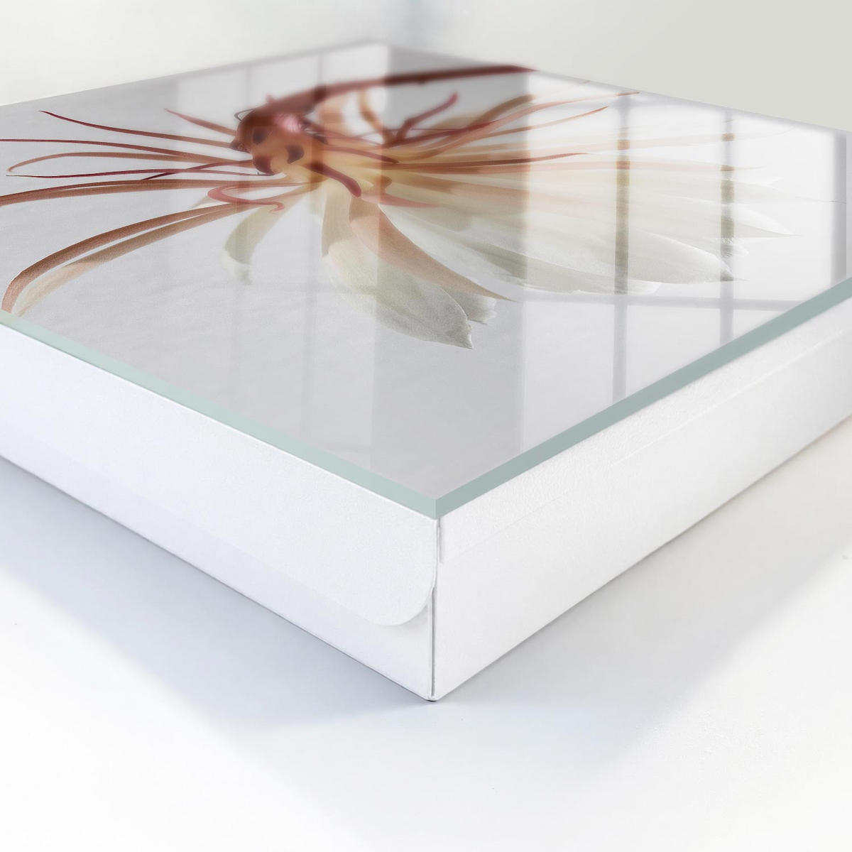 SCHLÜSSELBOX Weiß 30x30 cm – Türöffnung nach rechts - Die Eleganz der Natur - Creme, Metall (30/30/5cm) - TULUP