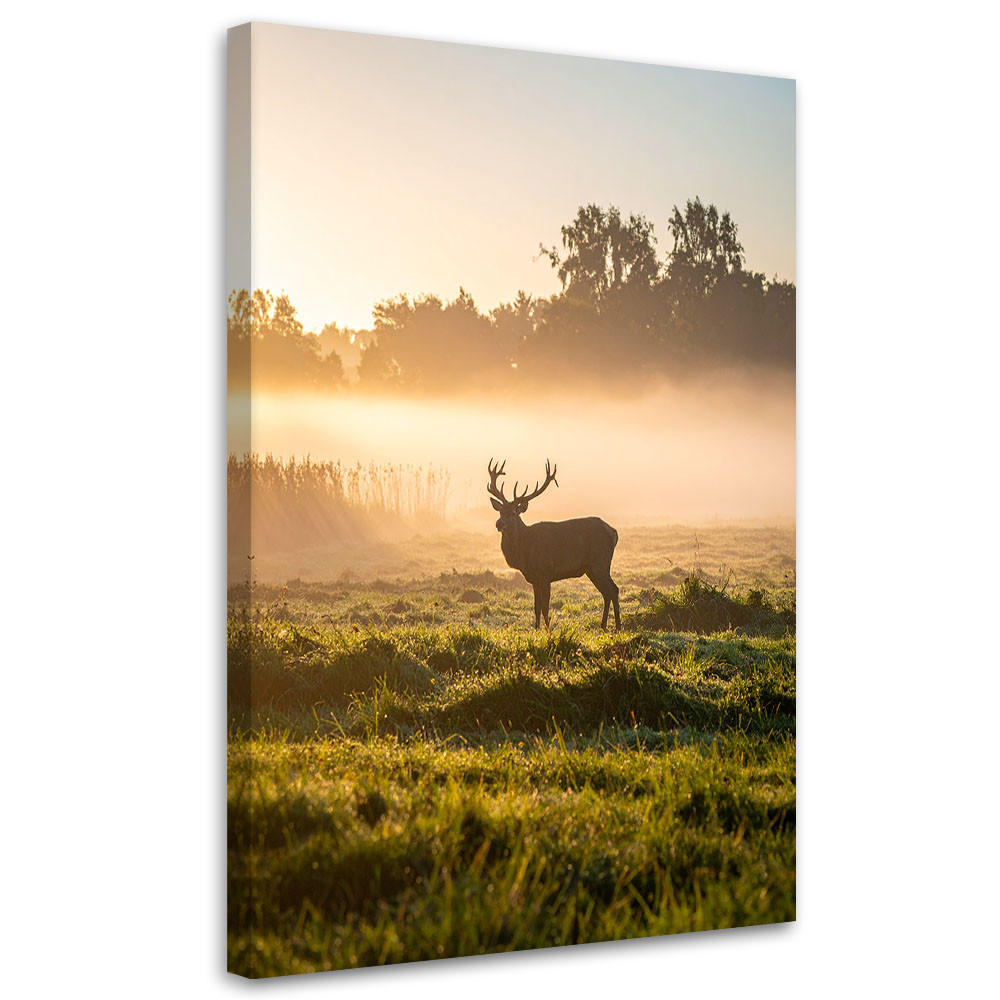 LEINWANDBILD Hirsch in der Brunft im Nebel 70x100cm - Beige, Textil (70/100cm) - Feeby