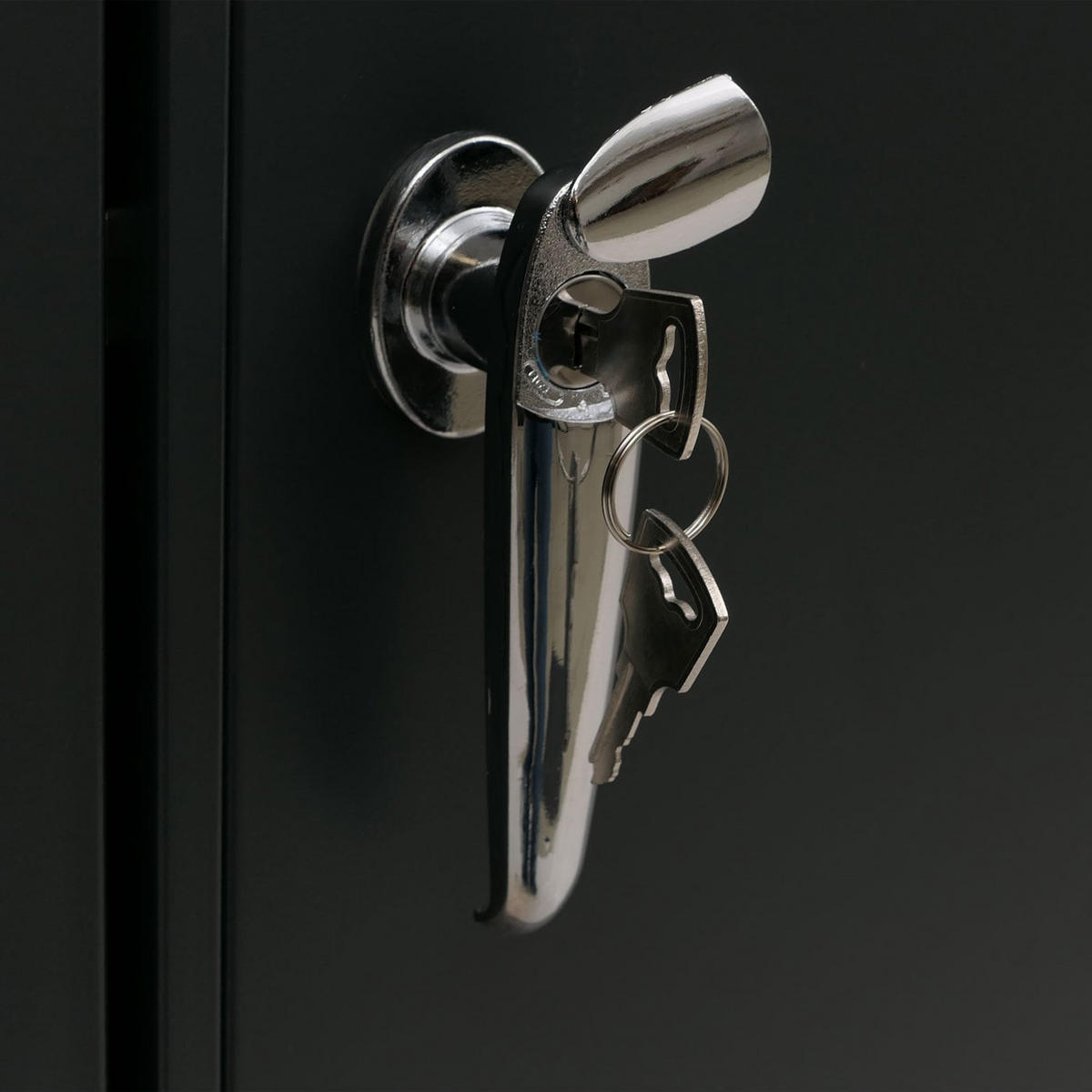 MÜLLTONNENBOX 4er mit Deckel HxBxT 122x250x84cm Anthrazit Holzoptik dunkel - Anthrazit, Metall (250/122/84cm) - PROREGAL