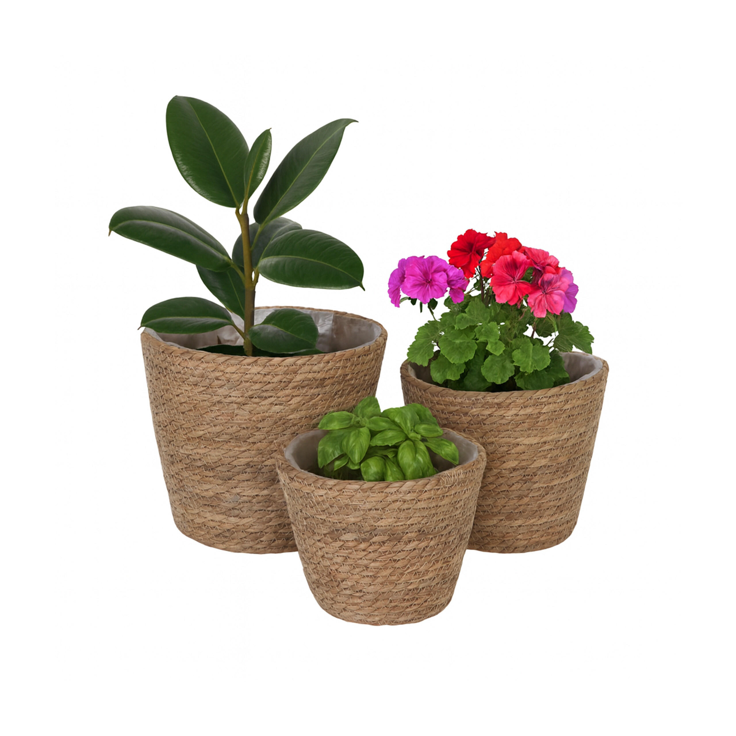 GHIVECI Natural Set-de-3