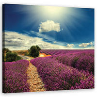 WANDBILD landschaften lila - Lila, Textil (50/50cm) - Feeby