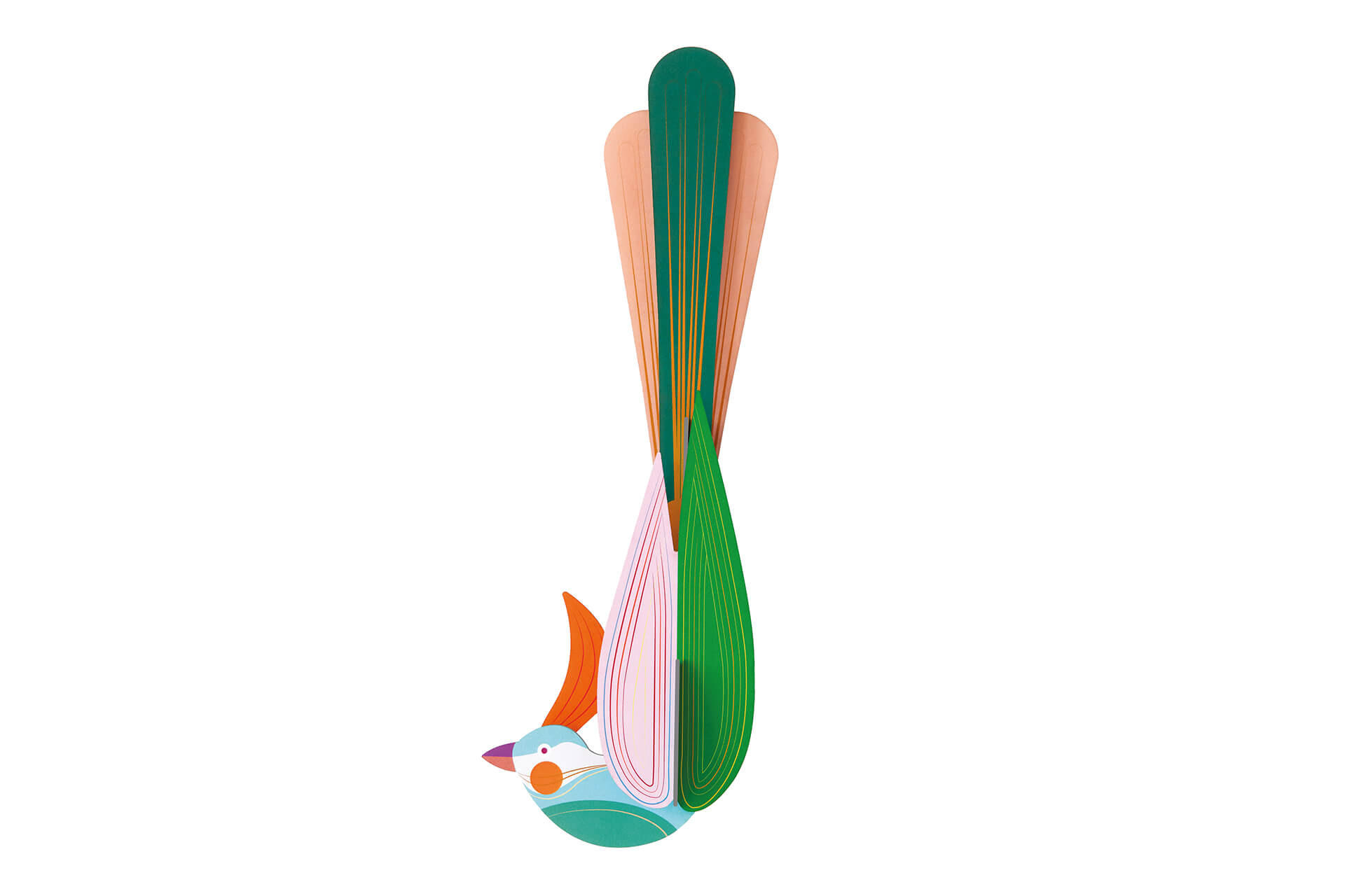 WANDDEKO Regenbogenschwanz-Vogel 11/5 cm - Pink/Grün, Wellpappe (11/5/32cm) - KUNSTLOFT