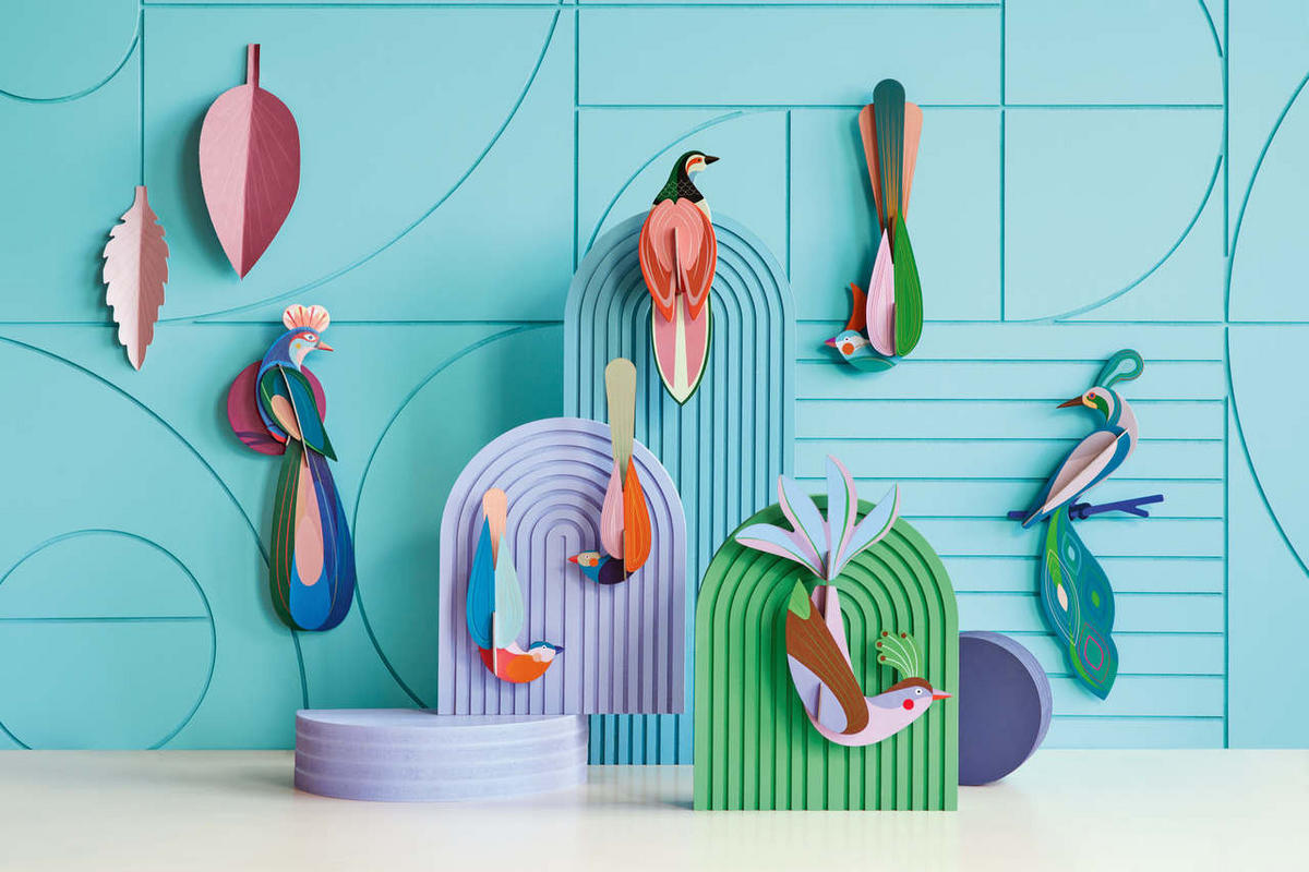 WANDDEKO Regenbogenschwanz-Vogel 11/5 cm - Pink/Grün, Wellpappe (11/5/32cm) - KUNSTLOFT