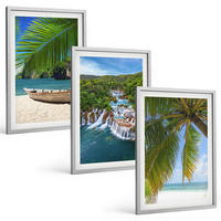 BILDER SET 3er Set - 40x60 cm Silberner Rahmen - Strand, Boot, Wasserfälle, Palmen - Silberfarben, Kunststoff (40/60cm) - TULUP