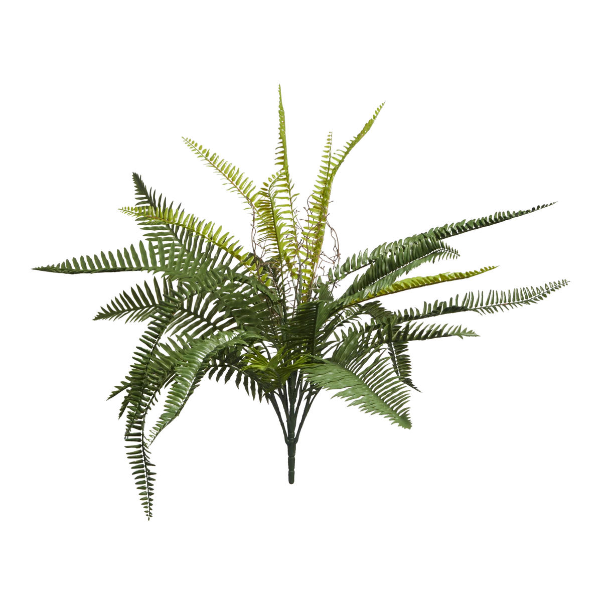 KUNSTPFLANZE Künstlicher Schwertfarn - Sen 69 cm - Grün, Kunststoff (69cm) - aplanta