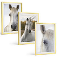 BILDER SET 3er Set - 40x60 cm Goldrahmen - Weiße Pferde in der Natur - Goldfarben, Kunststoff (40/60cm) - TULUP