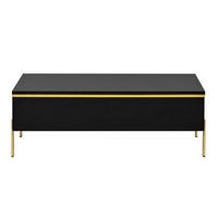 COUCHTISCH 100/50/36 cm in Schwarz mit Hochglanz und Doppelschubladen - Schwarz, Holzwerkstoff (100/50/36cm) - Flora Grace