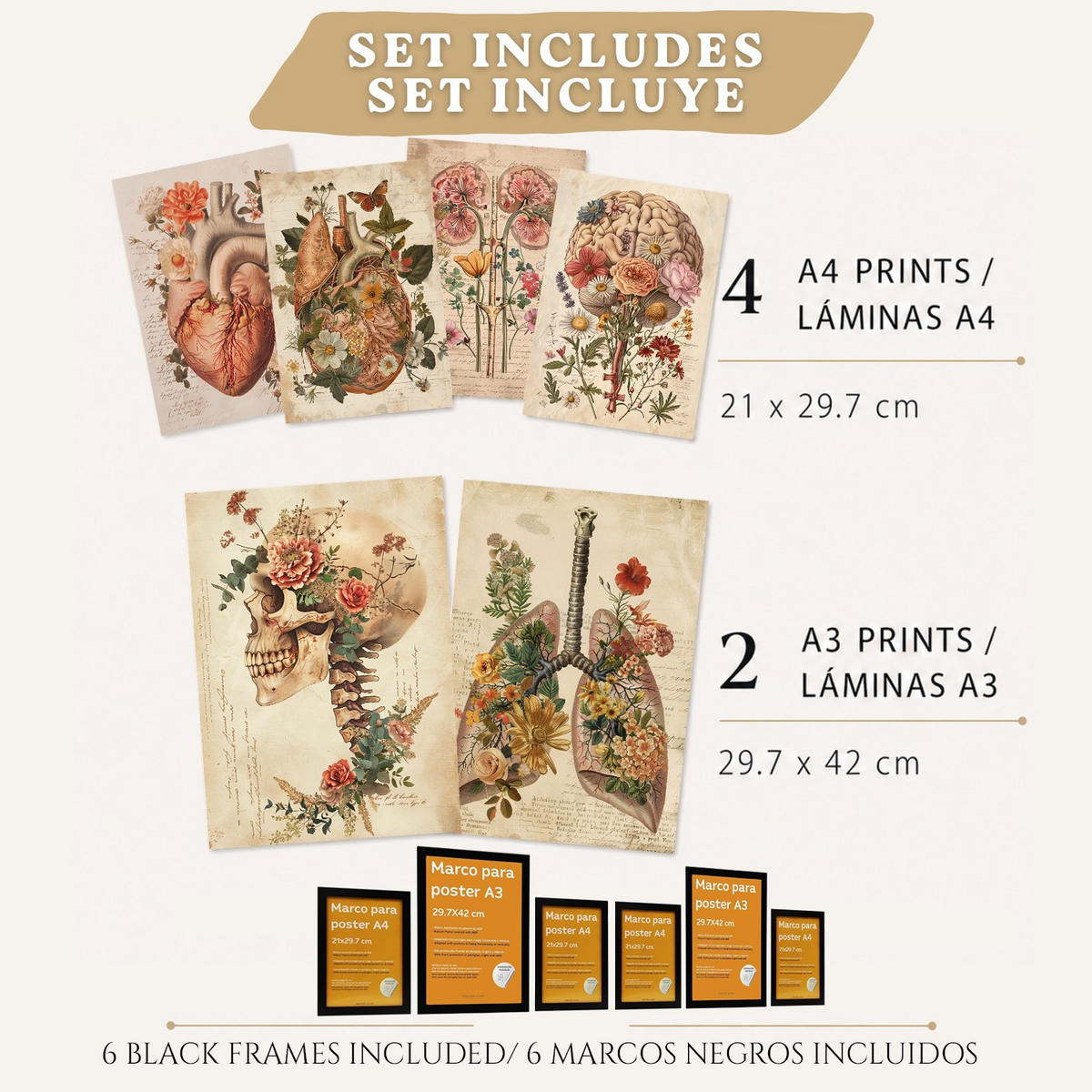 POSTER Set aus 6 Botanische Anatomie Drucke mit Herz Lungen Wirbelsäule Becken und Rippen Beige Terrakotta Erdtöne Florales Schwarzer Rahmen A3 & A4 - Schwarz, Papier (29.7/42/3cm) - Nacnic