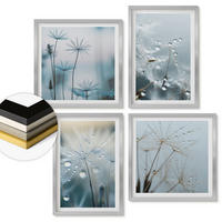 WANDBILDER 4er Set - 50x50 cm & 40x60 cm Silberner Rahmen - Tautropfen auf Löwenzahn - Silberfarben, Kunststoff (50/50cm) - ArtPrintCave