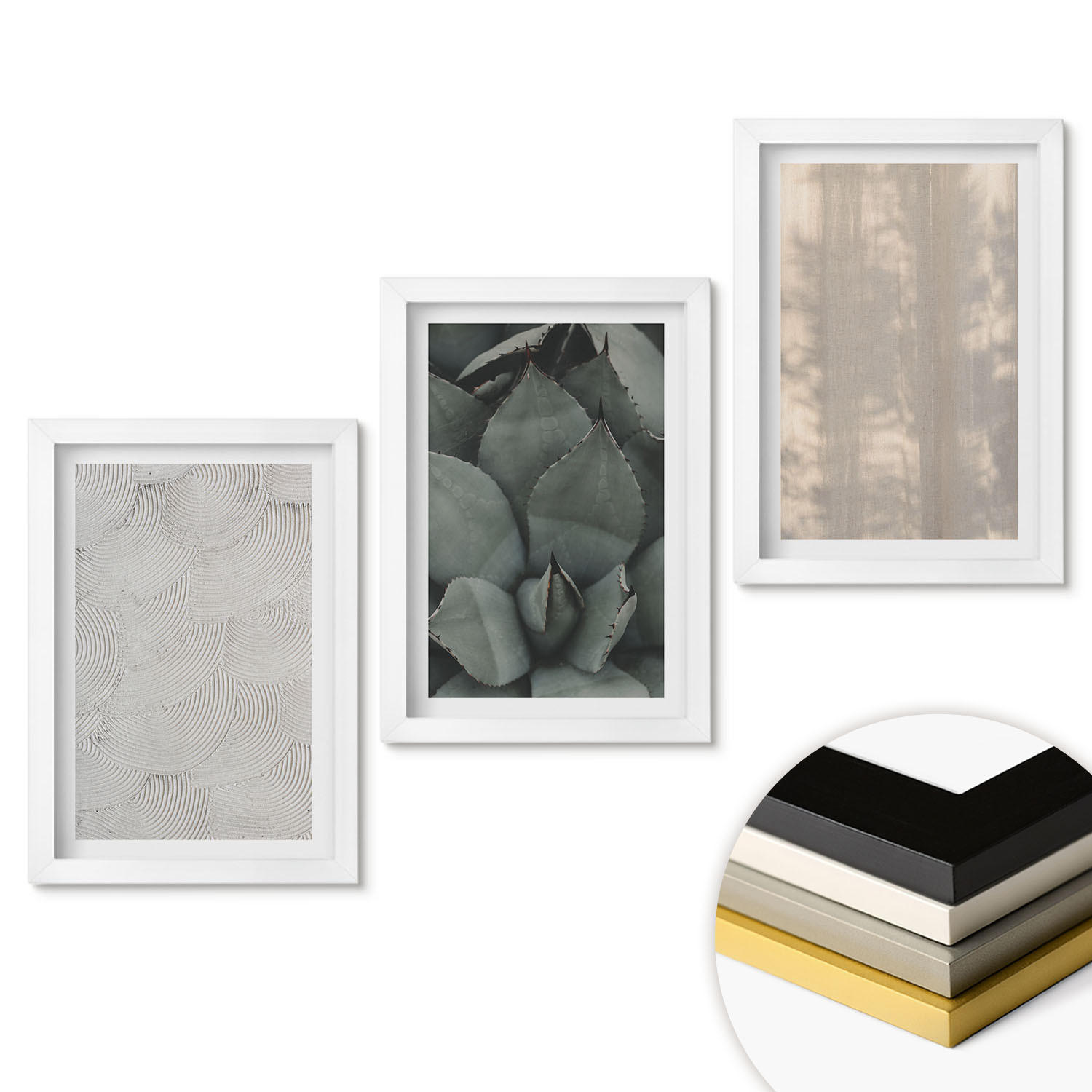 WANDBILDER 3er-Set - 20x30 cm Weißer Rahmen - Sommerliche tropische Texturen - Weiß, Kunststoff (20/30cm) - ArtPrintCave