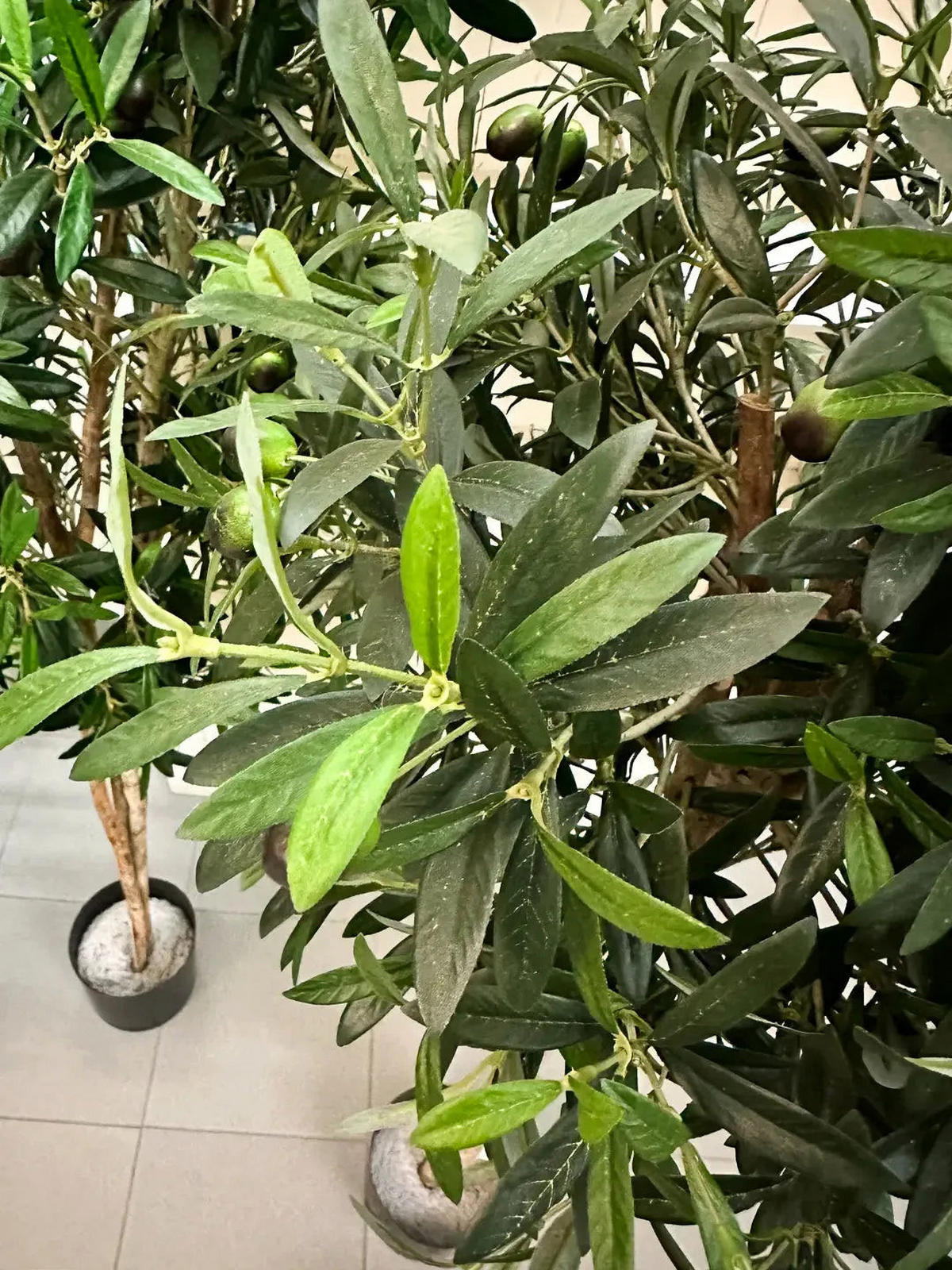 KUNSTBAUM Künstlicher Olivenbaum - Ian 120 cm - Grün, Kunststoff (120cm) - aplanta