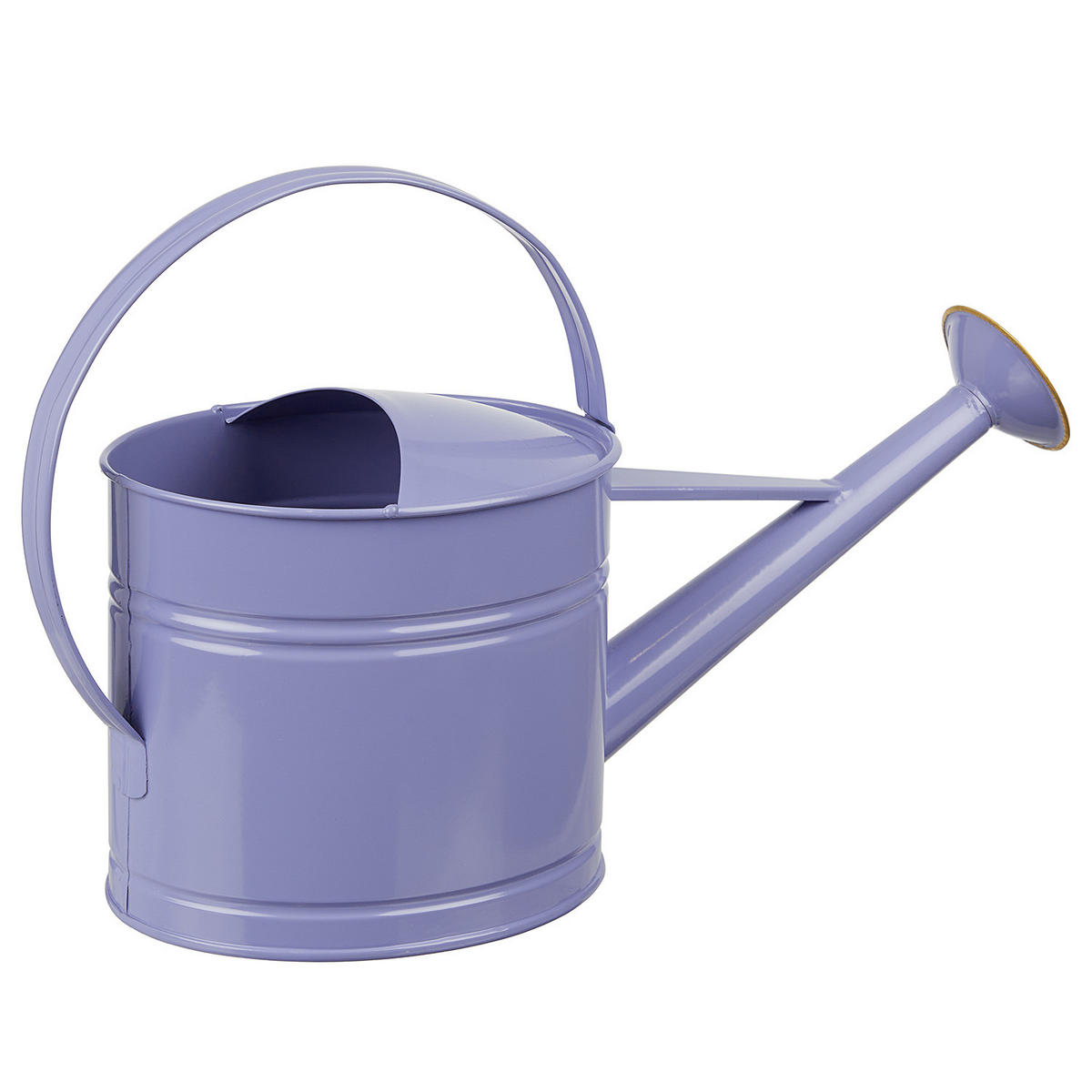 GIESSKANNE Zinc Mini 1,5L - Violett, Metall (14/25/35cm) - Butlers