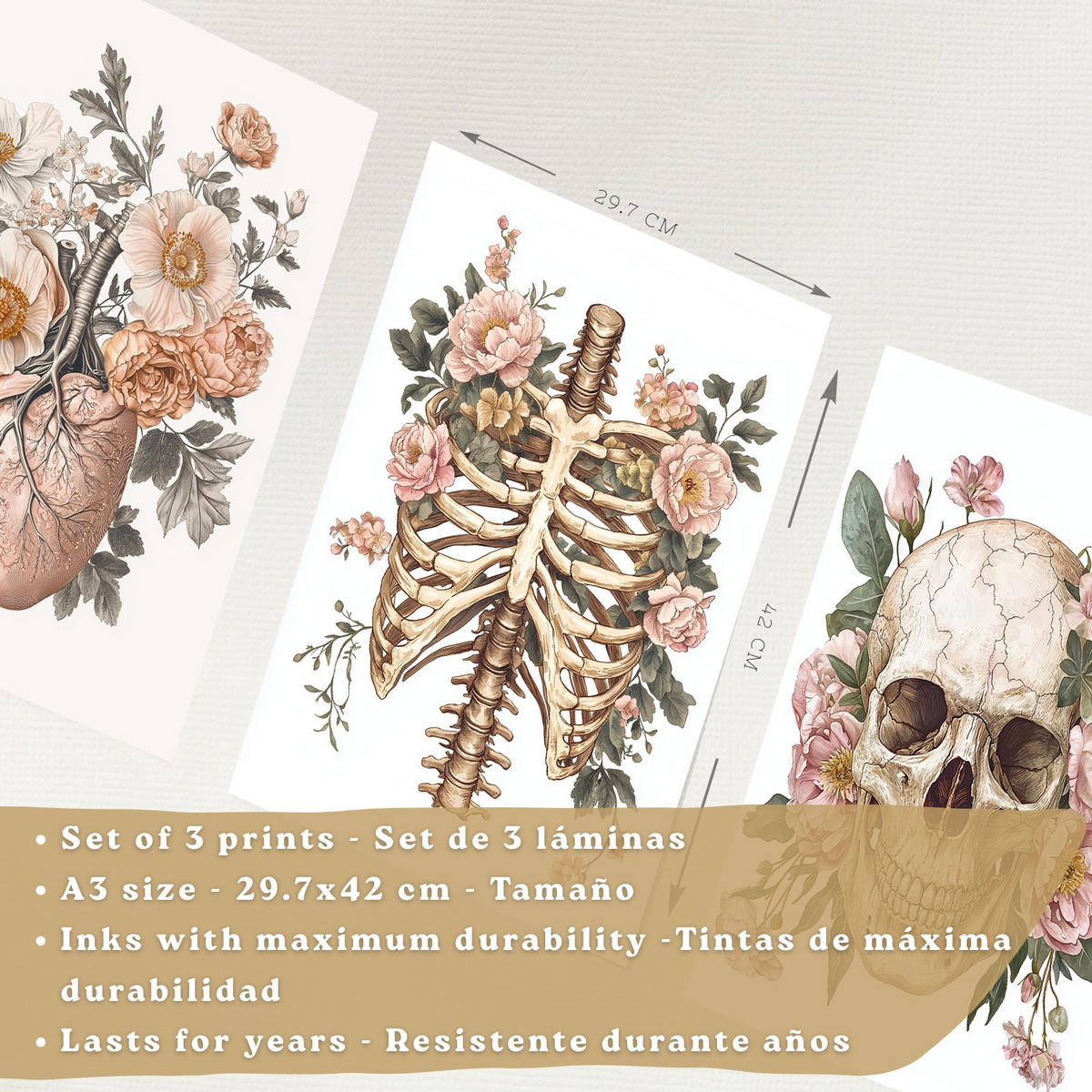 POSTER Set aus 3 Anatomie Mensch Florale Drucke und Wandbilder mit Herz Schädel und Brustkorb Weicher Vintage Stil Größe Schwarzer Rahmen A3 - Schwarz, Papier (29.7/42/3cm) - Nacnic