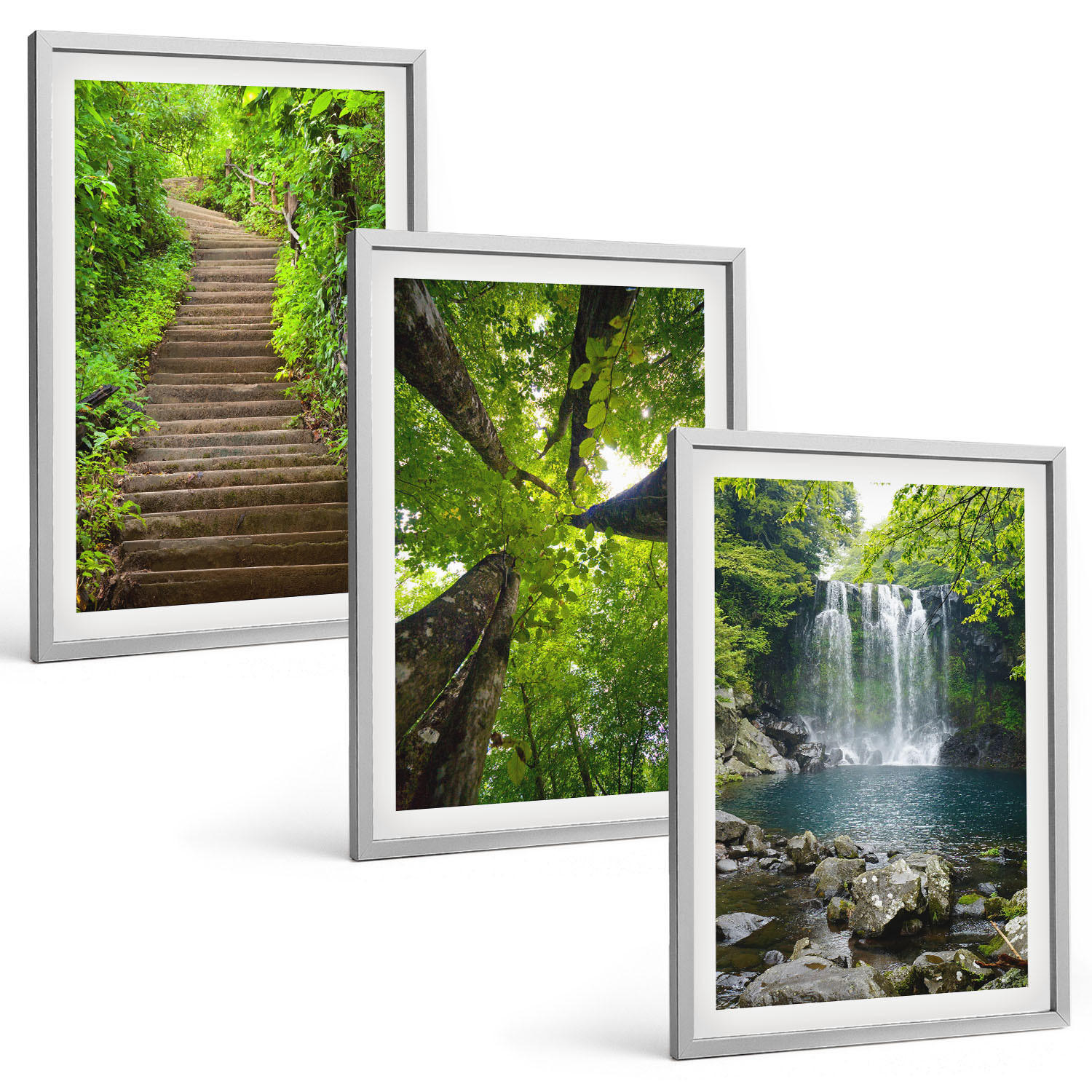 BILDER SET 3er Set - 40x60 cm Silberner Rahmen - Pfad Wald Wasserfall Vegetation - Silberfarben, Kunststoff (40/60cm) - TULUP