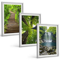 BILDER SET 3er Set - 40x60 cm Silberner Rahmen - Pfad Wald Wasserfall Vegetation - Silberfarben, Kunststoff (40/60cm) - TULUP