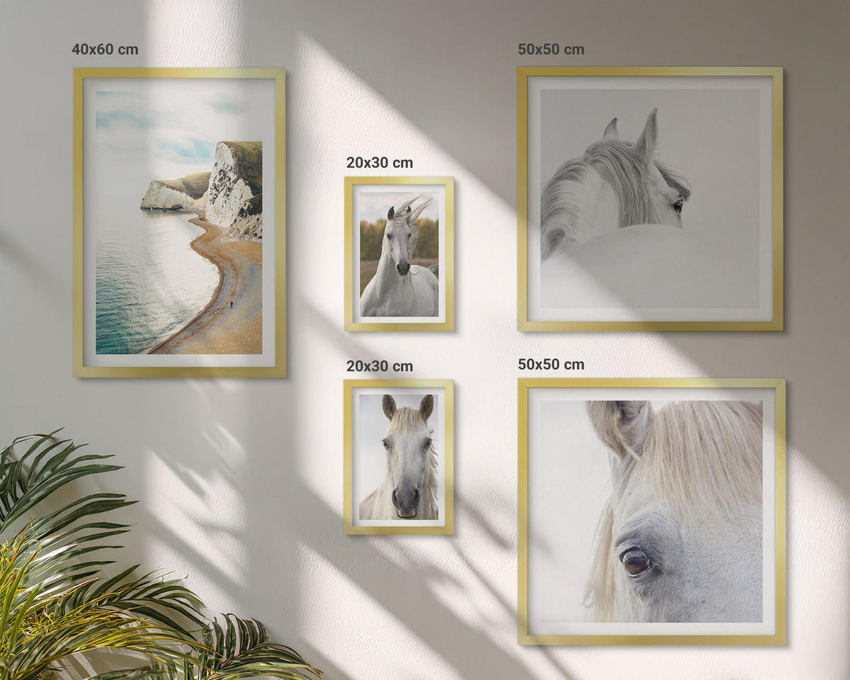 BILDER SET 5er Set - 50x50 cm & 20x30 cm & 40x60 cm Goldrahmen - Kontrastierende abstrakte Porträts - Goldfarben, Kunststoff (40/60cm) - TULUP