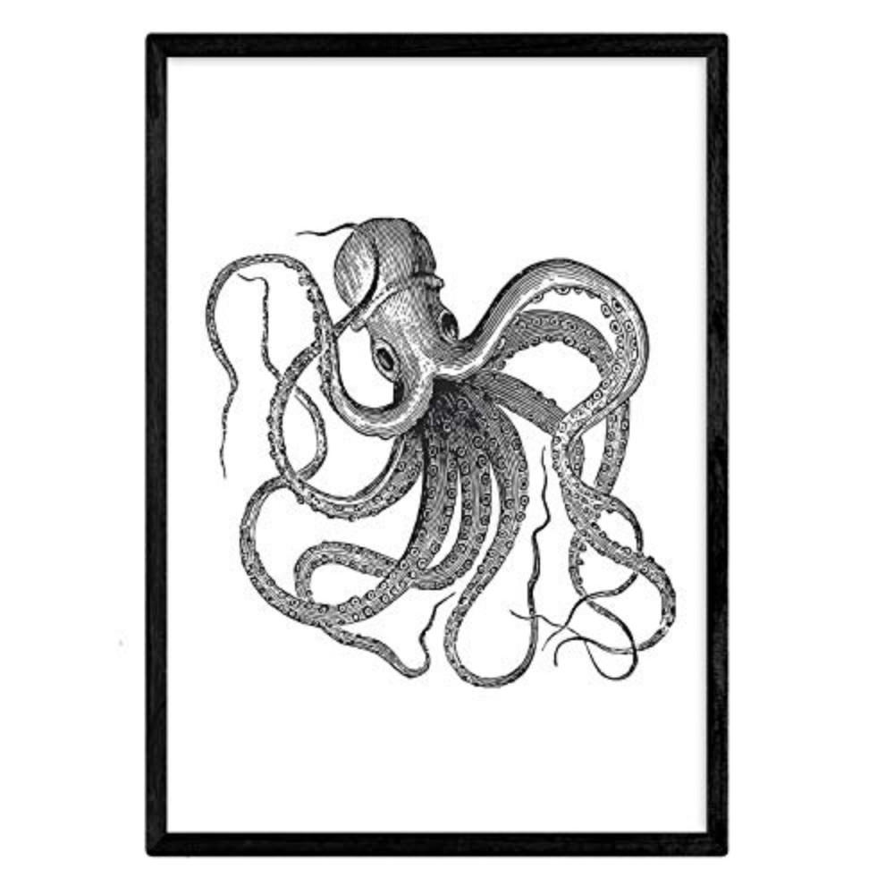 POSTER Octopus A4 Rahmenlos - Klar, Papier (29.7/5/21cm) - Nacnic