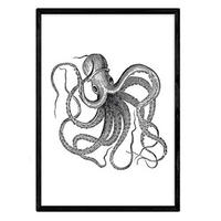POSTER Octopus A4 Rahmenlos - Klar, Papier (29.7/5/21cm) - Nacnic