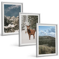 BILDER SET 3er Set - 40x60 cm Silberner Rahmen - Berge, Schnee, Hirsche, Waldlandschaft - Silberfarben, Kunststoff (40/60cm) - TULUP