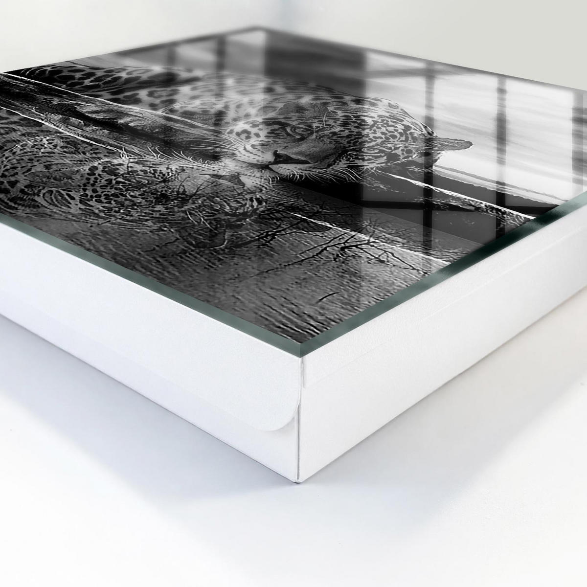 SCHLÜSSELBOX Weiß 30x30 cm – Türöffnung nach rechts - Jaguare im Wasser - Multicolor, Metall (30/30/5cm) - TULUP