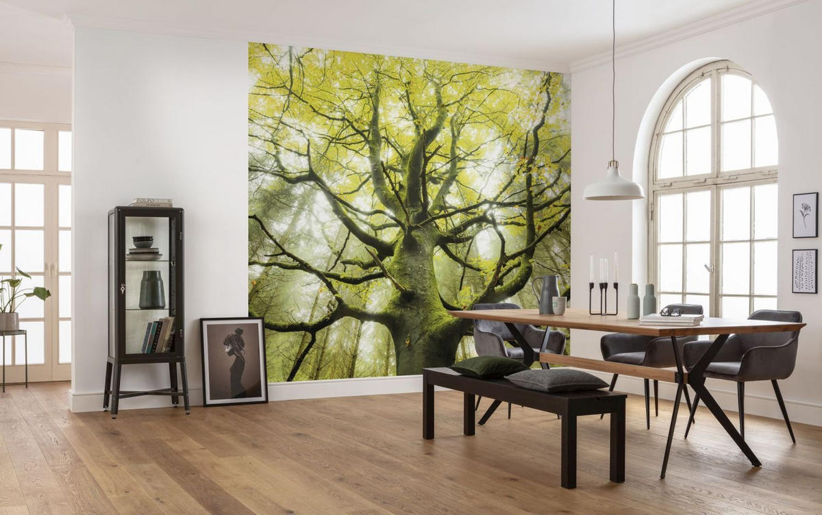 FOTOTAPETE Bäume 450 x 280 cm - Grün, Papier (450/280cm) - Sanders & Sanders