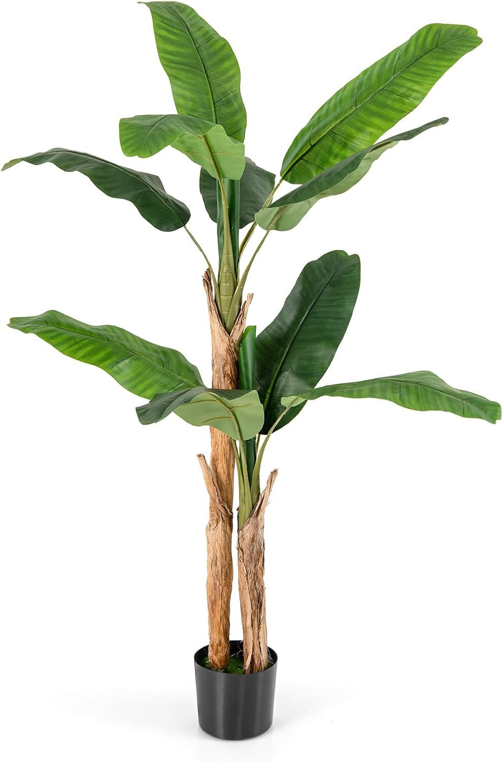 COSTWAY CITRONÍK zelený