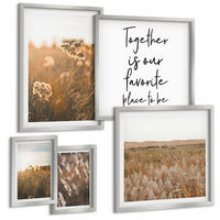 BILDER SET 5er Set - 50x50 cm & 20x30 cm & 40x60 cm Silberner Rahmen - Landschaftsgrasblumen Wärme - Silberfarben, Kunststoff (40/60cm) - TULUP