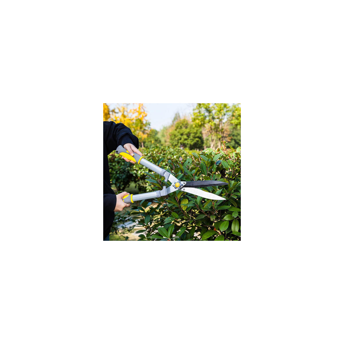 HECKENSCHERE mit gewellten Klingen - Suan - Antihaftbeschichtung - Maße: 58 x 21 cm - Grau, Metall (21/5/58cm) - SUAN