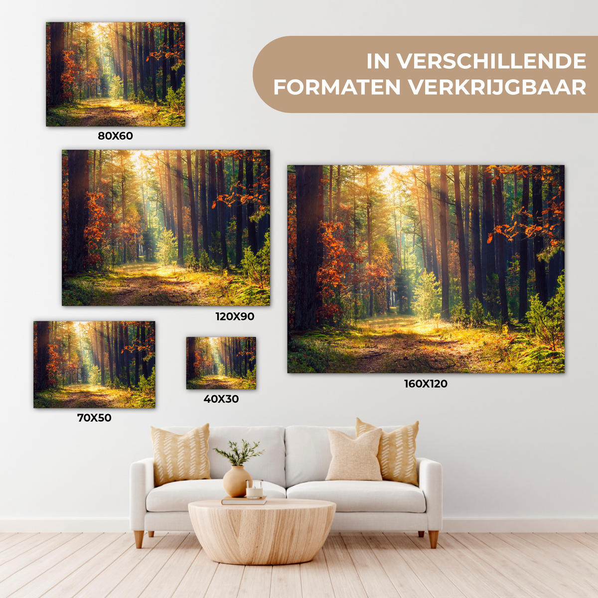 LEINWANDBILD Wald - Herbst - Bäume Wandbilder 80x60 cm - Dunkelgrün, Textil (80/60cm) - MuchoWow