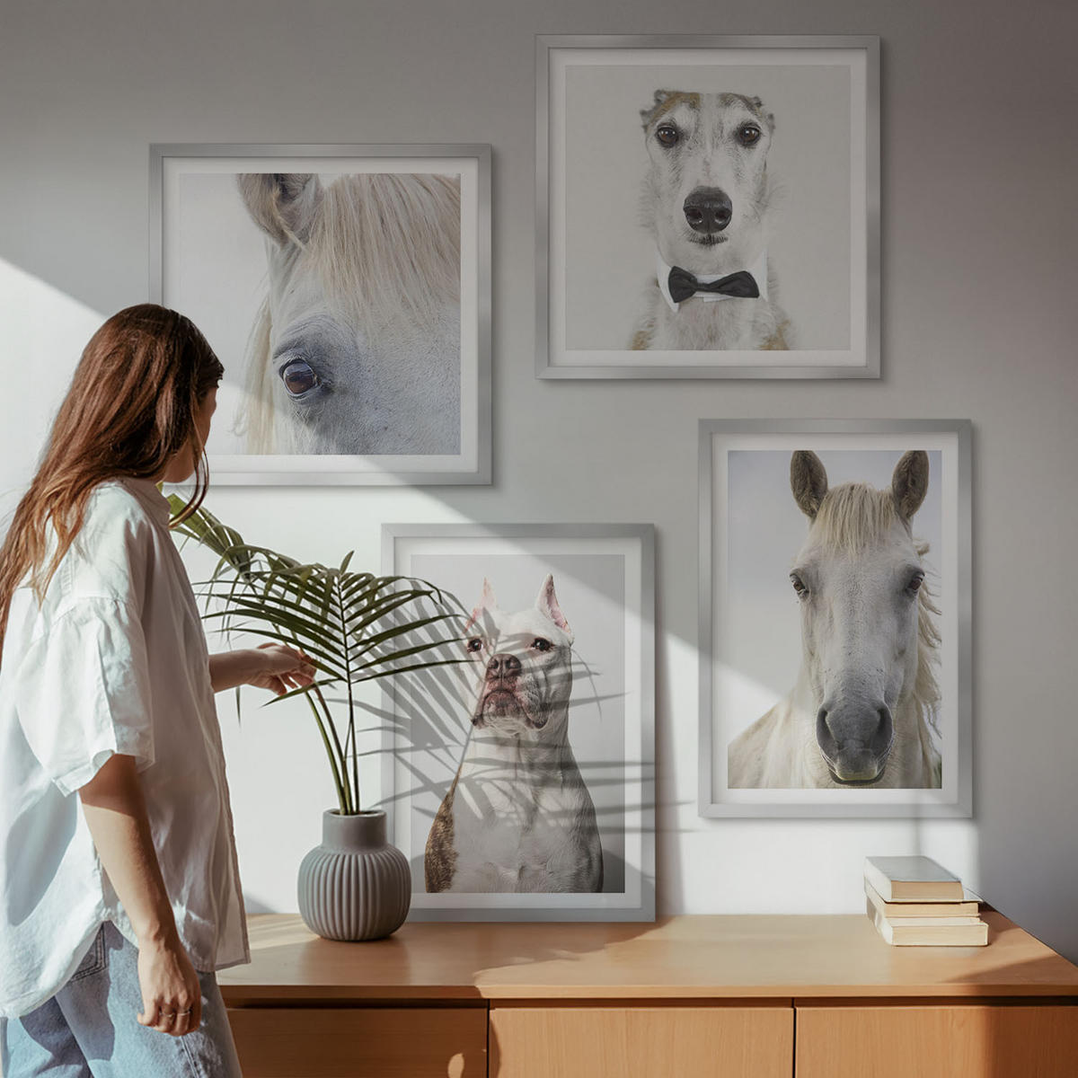 WANDBILDER 4er Set - 50x50 cm & 40x60 cm Silberner Rahmen - Elegante Porträts von Hunden und Pferden - Silberfarben, Kunststoff (50/50cm) - ArtPrintCave