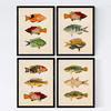 POSTER Set mit 4 Bengal 10 verschiedenen Fischen A3 Schwarzer Rahmen - Schwarz, Papier (29.7/3cm) - Nacnic