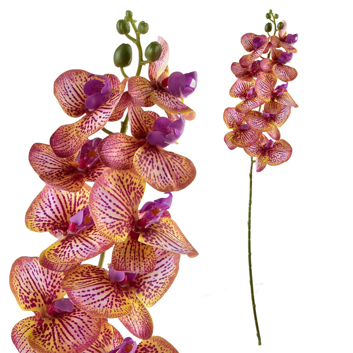 UMĚLÁ ORCHIDEJ Viridis, 90 cm - bílá, plast (90cm) - Mondex