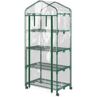 GEWÄCHSHAUS 69/50/165 cm transparent mit 4 Regalböden - Transparent, Metall (50/165/69cm) - Flora Grace