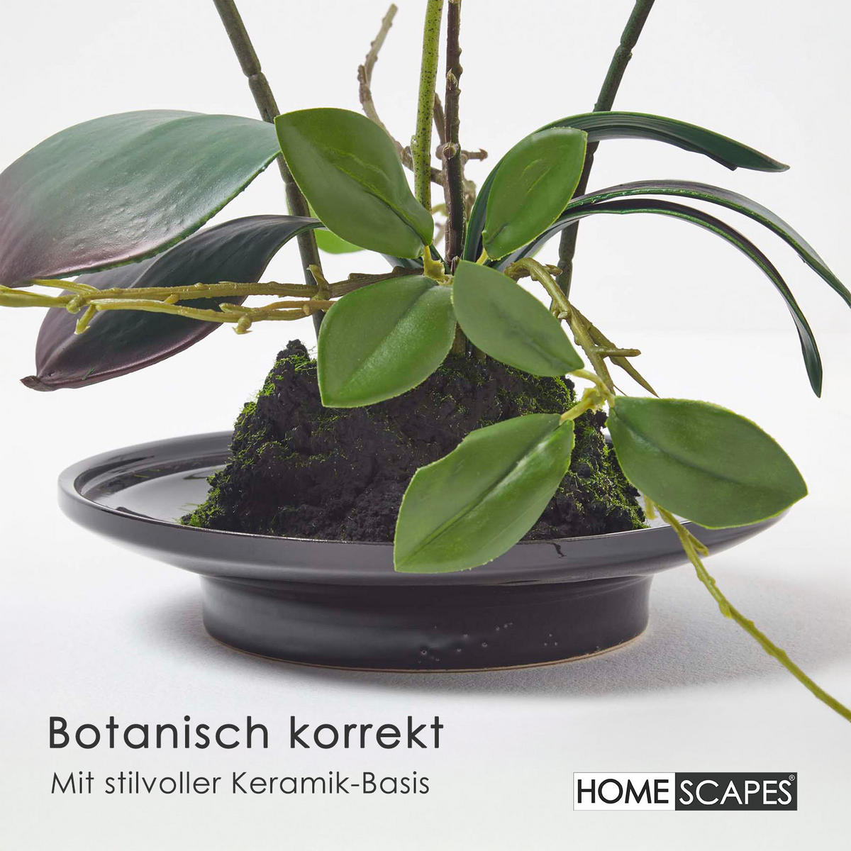 KUNSTBLUME Orchidee weiß-pink in Deko-Schale, 38 cm - Weiß, Kunststoff (38cm) - Homescapes