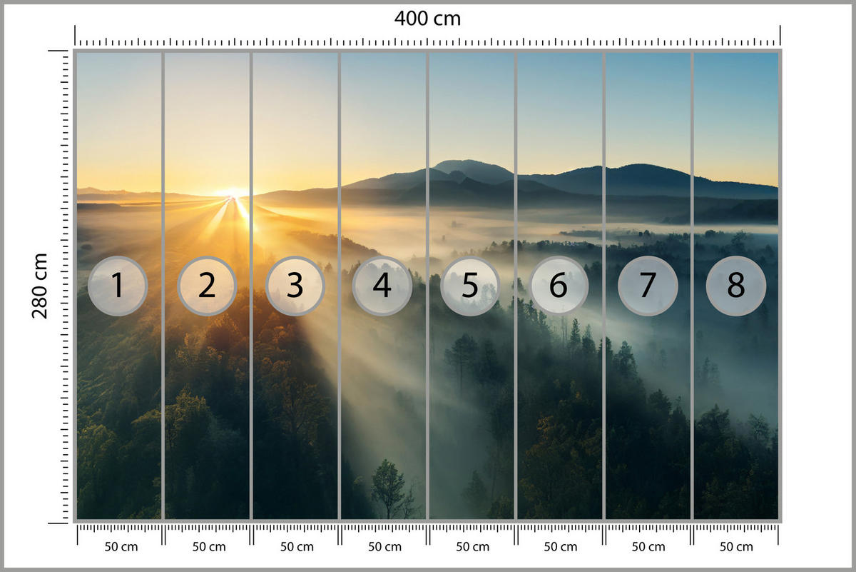 FOTOTAPETE für Wohnzimmer Sonnenaufgang über Bergigen Nadelwald Gold 400x280 - Gelb/Braun, Papier (400/280cm) - Muralo