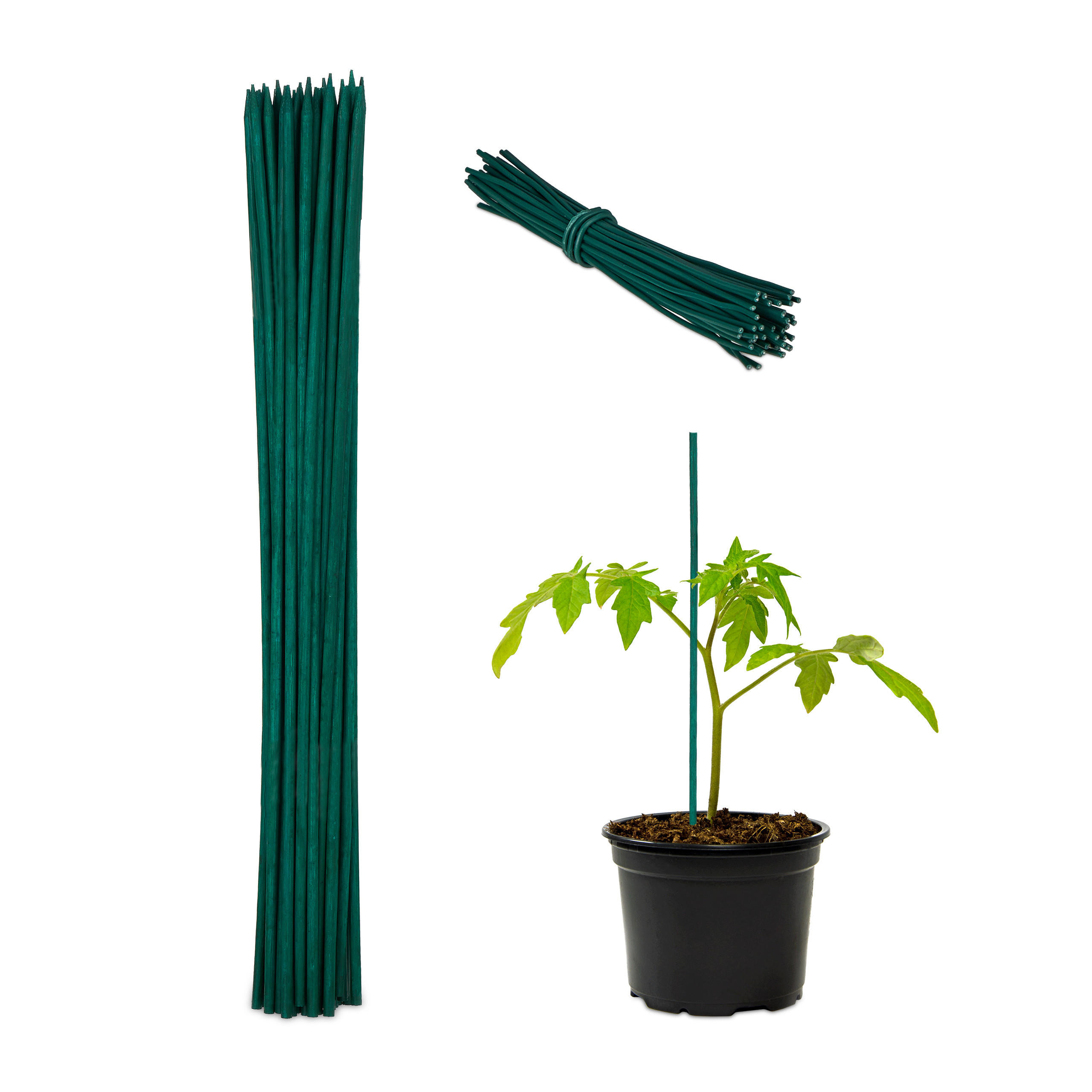 TYČE Tmavě zelené 50dílná-sada Bambus s vázacím drátem 30 cm - tmavě zelená, kov/dřevo (0.5cm) - Relaxdays