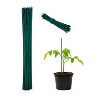 PFLANZSTÄBE Dunkelgrün 50er-Set Bambus mit Bindedraht 30 cm - Dunkelgrün, Holz/Metall (0.5cm) - Relaxdays