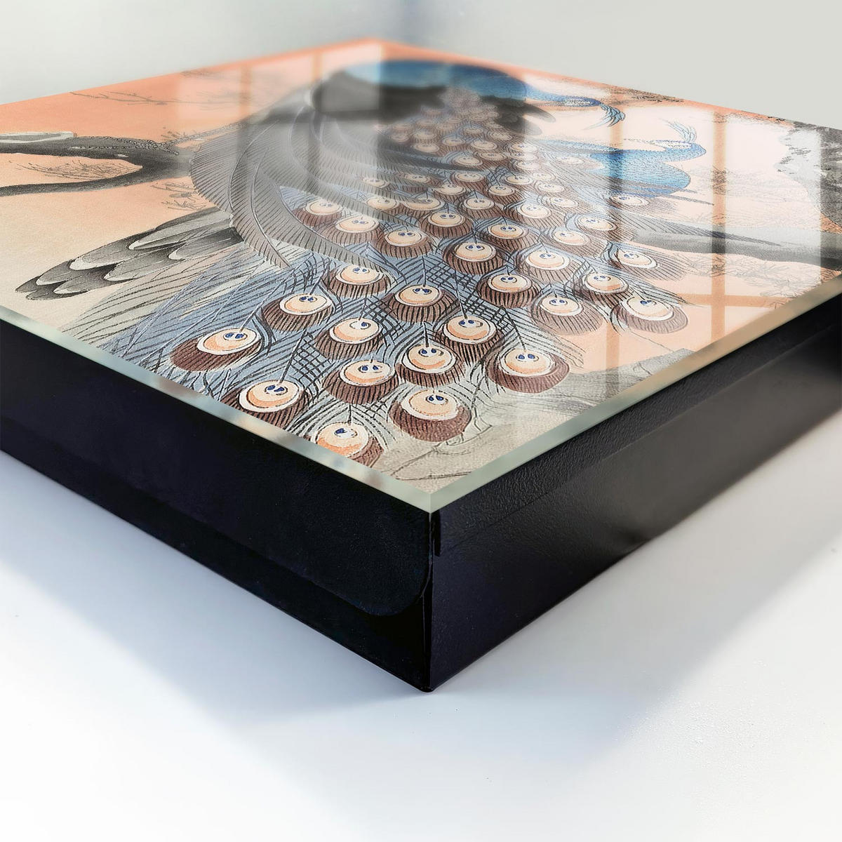SCHLÜSSELBOX Schwarz 30x30 cm- Türöffnung nach rechts - Pfauenschönheit - Blau, Metall (30/30/5cm) - TULUP