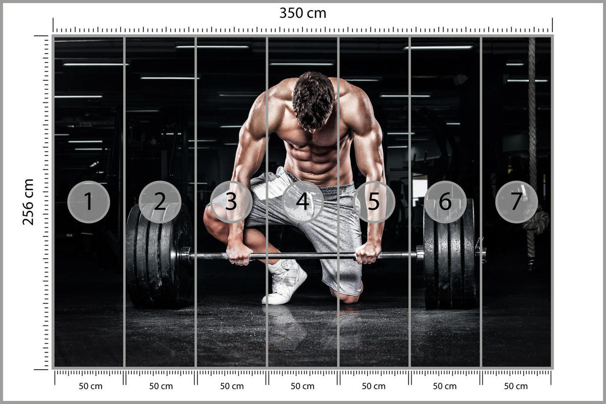 FOTOTAPETE Muskulöser Mann Fitnessstudio Training Sport 350x256 - Beige/Schwarz, Papier (350/256cm) - Muralo