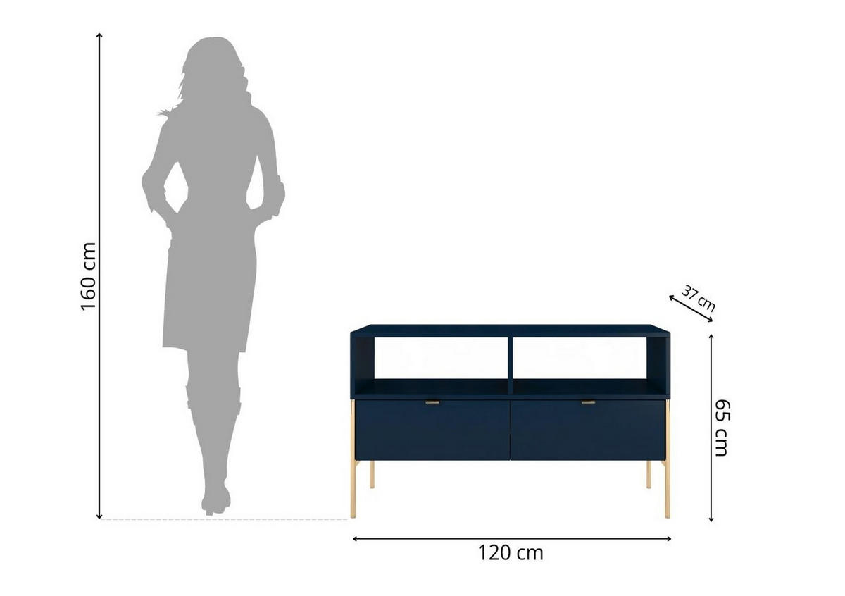 LOWBOARD Polka, Marineblau, Goldene Details - Goldfarben/Dunkelblau, Holzwerkstoff/Metall (120/65/37cm) - Skandica