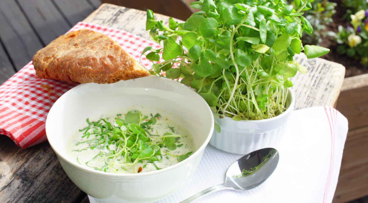 XXXLecker-Baerlauchsuppe