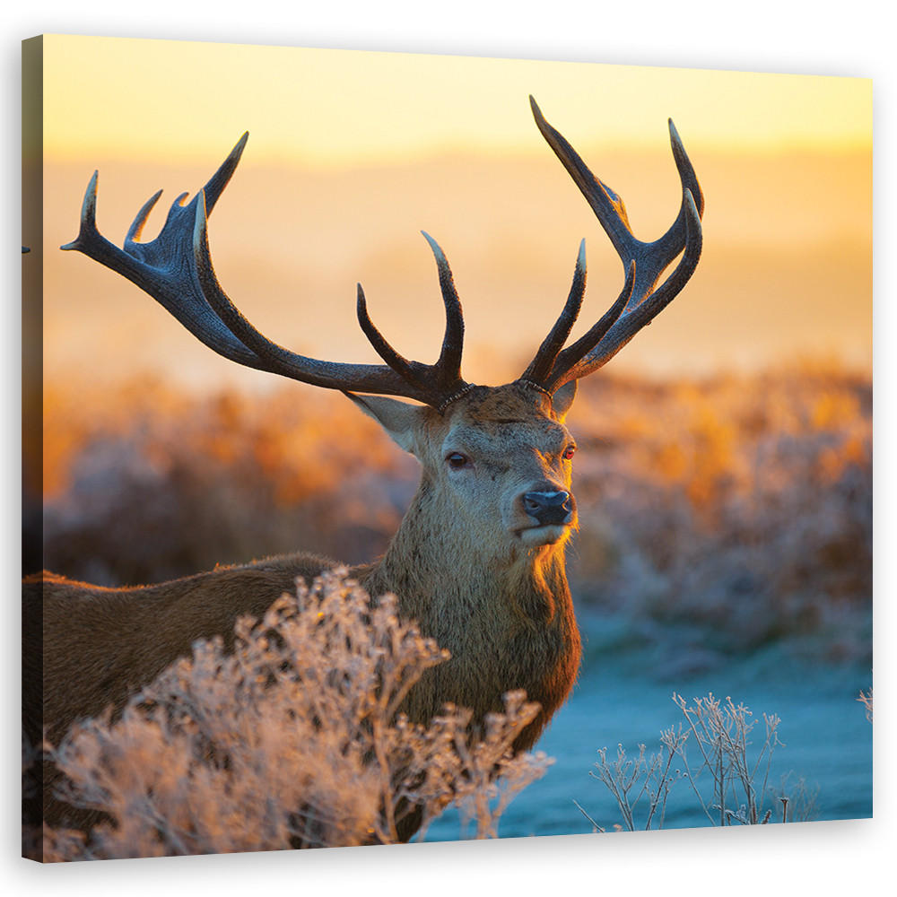 Feeby Wandbild Braun 40x40 cm