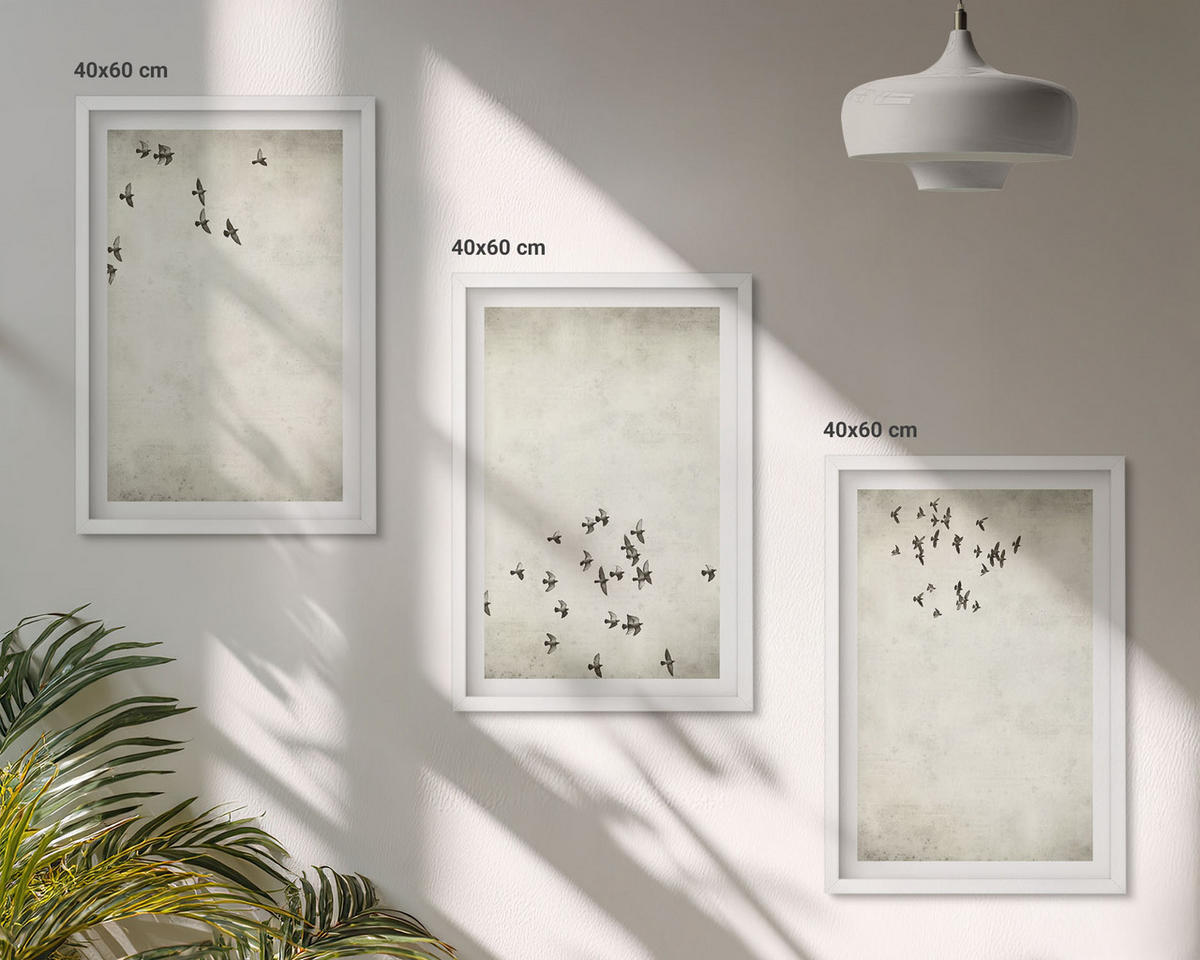 BILDER SET 3er Set - 40x60 cm Weißer Rahmen - Minimalistische Vogelmalerei - Weiß, Kunststoff (40/60cm) - TULUP