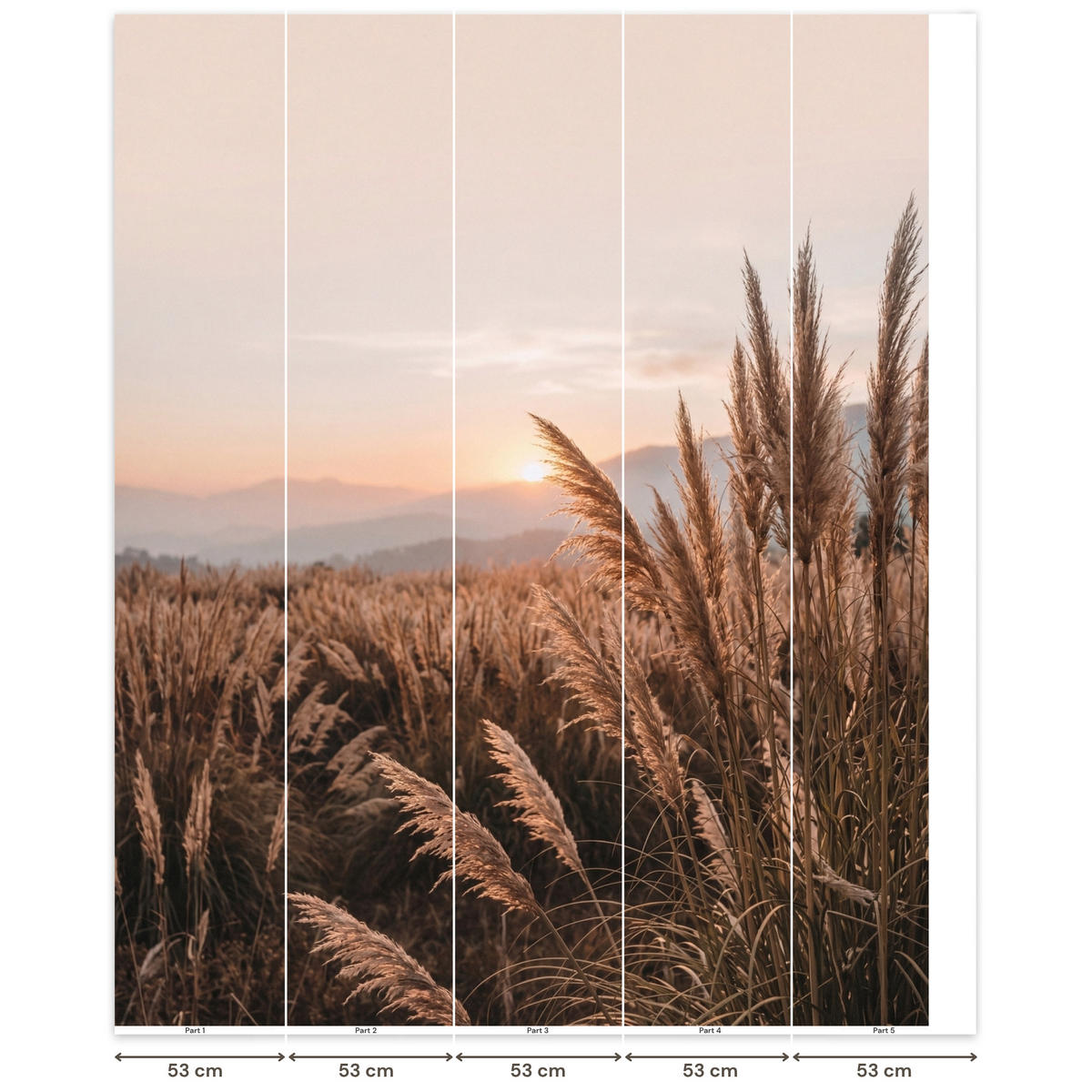 TAPETE - Gras - Feld - Sonne - Natur - 260x300 cm - Sandfarben, Papier (260/300cm) - OnlyWow