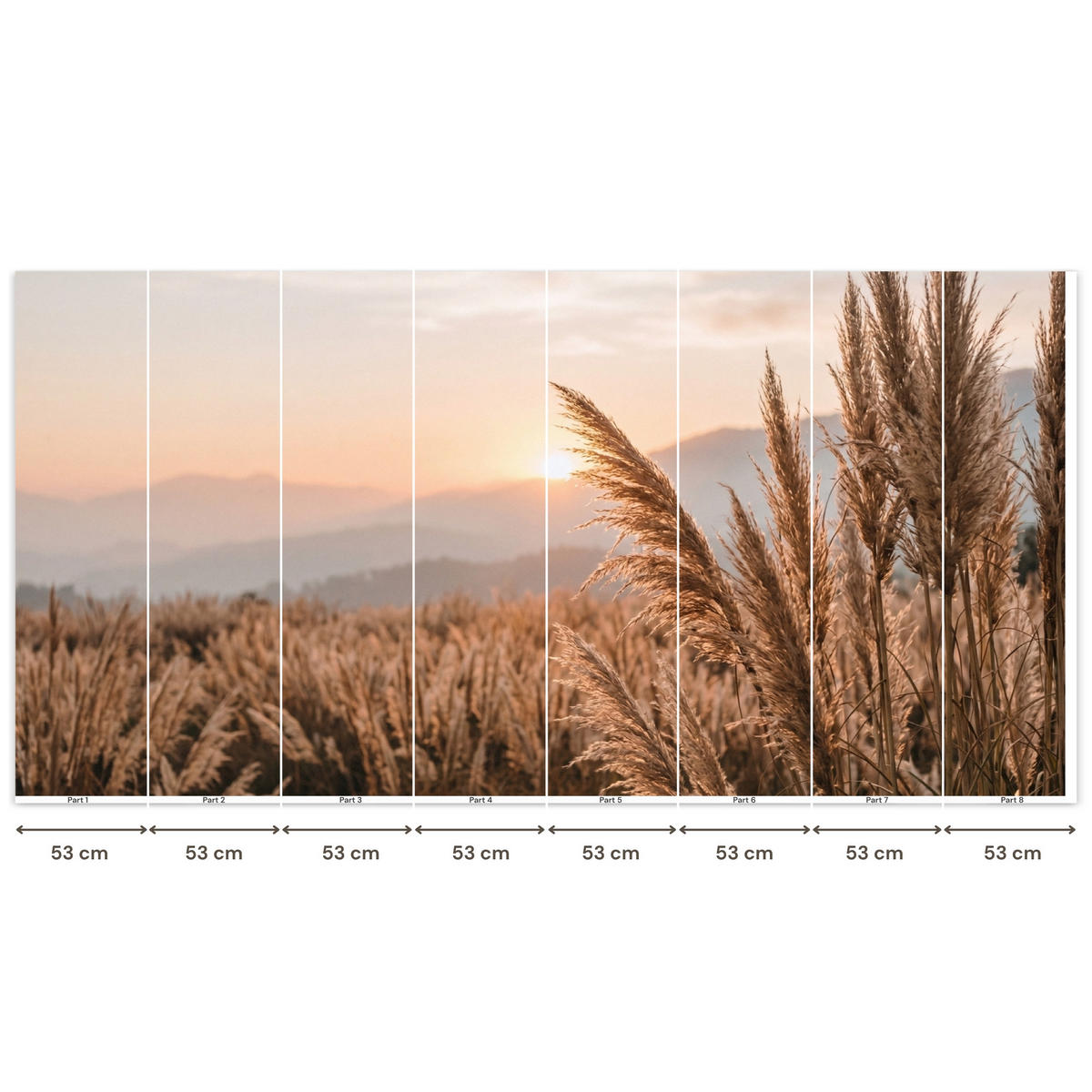 TAPETE - Gras - Feld - Sonne - Natur - 400x200 cm - Sandfarben, Papier (400/200cm) - OnlyWow