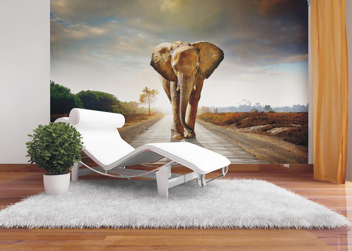 FOTOTAPETE Elefant 375 x 270 cm - Beige, Papier (375/270cm) - Sanders & Sanders